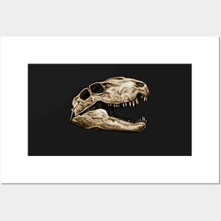 Dimetrodon Skull Sticker Posters and Art